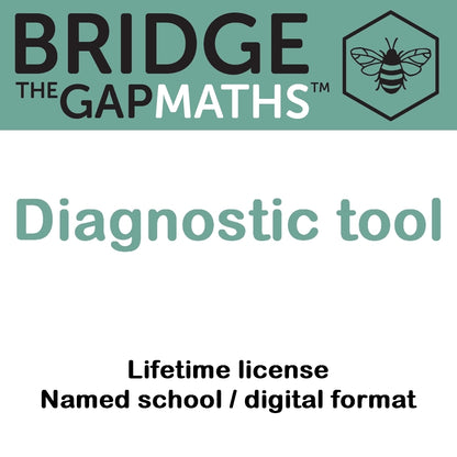 Bridge the Gap Math™